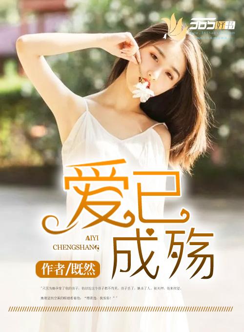 爱已成殇 电视剧国语版