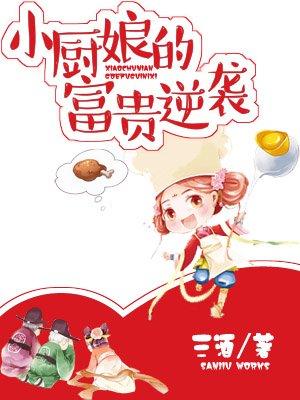 小厨娘贵不贵