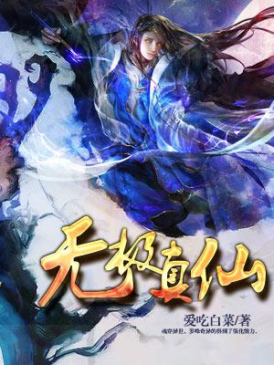 仙家无极老祖是谁