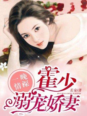 一夜情深霍少放心宠