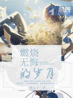燃烧的岁月视频