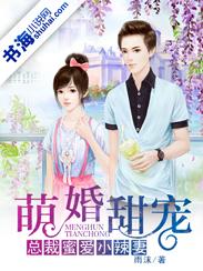 总裁甜爱小萌妻全文