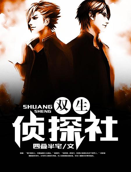 双生侦探2