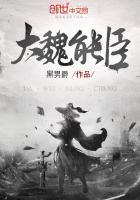 大魏能臣好看不