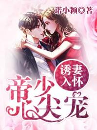 今夜星辰似你傅爷宠妻入骨电视剧免费观看完整版