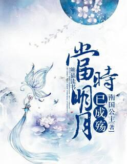 当时明月今虽在