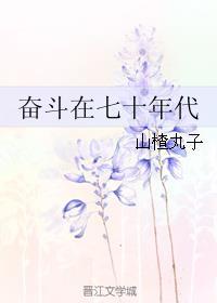 七十年代奋斗人生