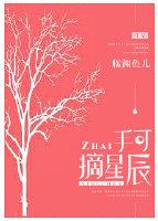 手可摘星辰出自哪首诗