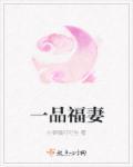 一品夫人是什么意思?