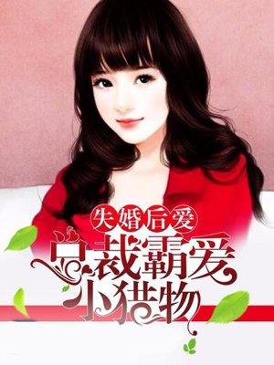 失婚的