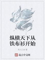 纵横天下从铁布衫开始女主角
