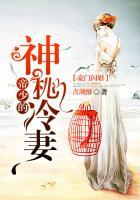 豪门闪婚帝少的小萌妻
