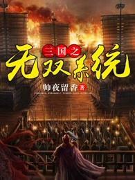 三国之无双基因全本