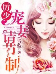 厉少宠妻请节制免费无弹窗阅读