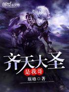 我不是齐天大圣