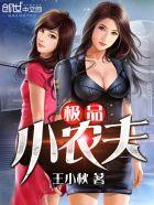 极品小农民复制