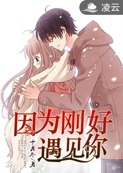 因为刚好遇见你是什么歌曲的歌词