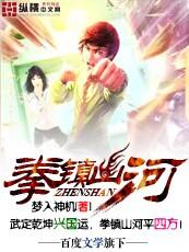 拳镇山河境界详细介绍