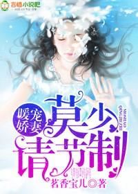 莫暖免费阅读
