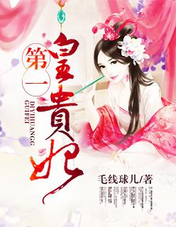 第一皇妃讲了什么