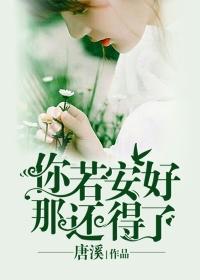 你若安好那还得了讲的什么