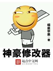 神级修改器h版