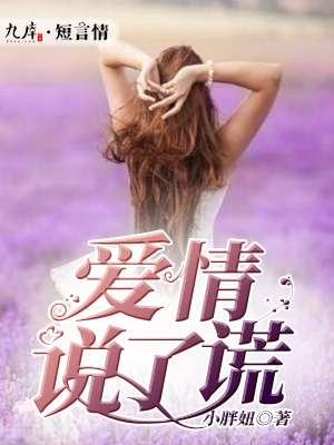 爱情说的谎歌曲