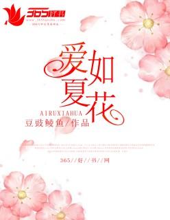 爱如夏华般璀璨
