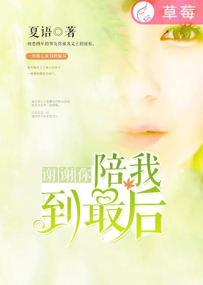 谢谢你陪我到这里歌词