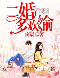 二婚的人们