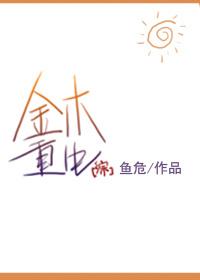 综金木重生txt