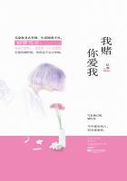 赌你爱我长着翅膀的灰太狼