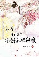 知否知否应是绿肥红瘦是谁的诗