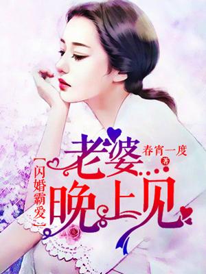 闪婚霸道老公