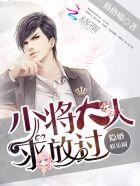 隐婚少将