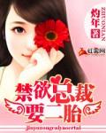 总裁二胎顺产