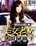 美女总裁的极品高手烂尾了