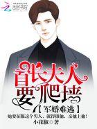 宠妻成瘾穆少别来无恙
