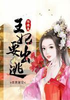 王妃出逃1001全集