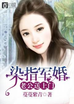 染指军婚txt
