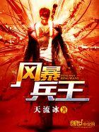 风暴兵王天刘兵
