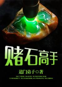赌石高手 懒猪