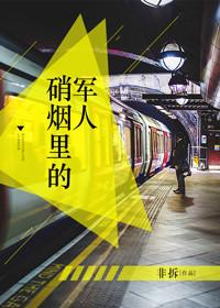 硝烟里的军人讲了什么