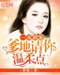 权少宠妻太凶猛全文免费最新