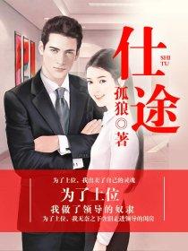 仕途之路免费阅读