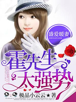 盛爱成婚霍少的心尖暖婚阅读