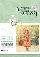 你若懂我该有多好下一句是什么