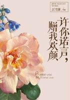 许你欢颜赠我流年