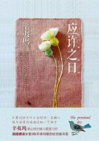 应许之日书籍