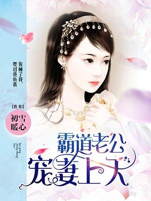 霸道老公宠妻上天大结局
